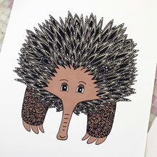 Australian Animals in Colour Art Prints | Nursery or Kids bedroom decor