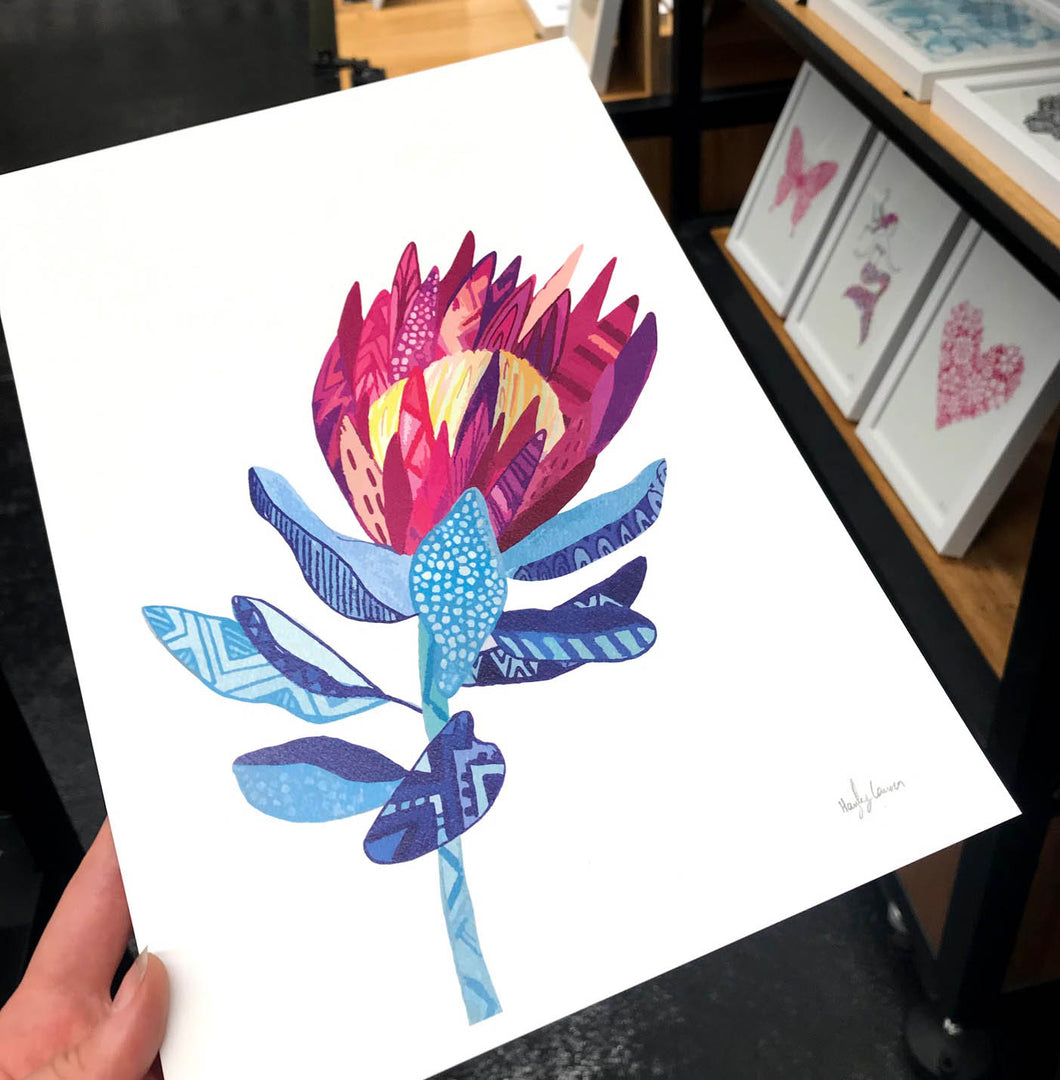 king protea artwork perfect gift for valentines day by Hayley Lauren design free shipping Australia wide