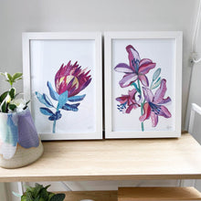 king protea and lily flowers artwork perfect gift for valentines day by Hayley Lauren design free shipping Australia wide